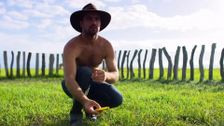 S2 E3: The Swamp Cowboys