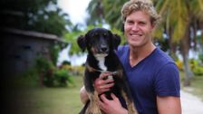 S13 E7: Bondi Vet