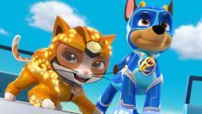 S9 E3: Cat Pack/PAW Patrol Rescue: Rocket Rescuers; Cat Pack/PAW Patrol Rescue: The Golden Lion Mask