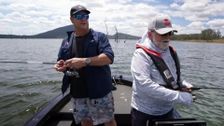 S26 E10: Creek to Coast