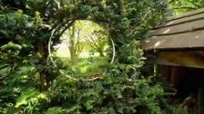 S9 E2: Love Your Garden