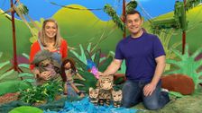 S341 E3: Going Wild