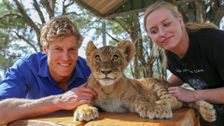 S7 E1: Bondi Vet