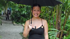 S1 E31: Back to Malaysia