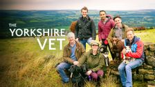The Yorkshire Vet