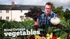 River Cottage: Vegetables
