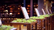 S12 E34: MasterChef Australia: Back to Win