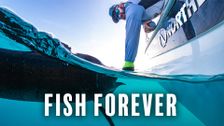 Fish Forever