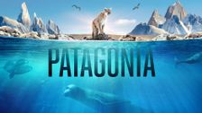 Patagonia