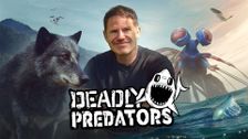 Deadly Predators