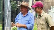 S2 E7: Dr Harry's Animal Encounters