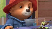 S2 E8: Paddington and the Caterpillar