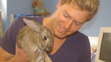 S2 E5: Bondi Vet
