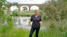 S32 E17: Better Homes and Gardens