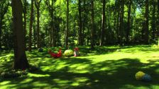 S2 E9: The Pontipines' Picnic
