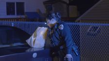 S1 E1: Call of the Wild