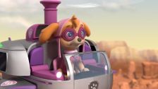 S8 E8: Pups Save the Dizzy Dust Express; Pups Save the Treetop Trekkers
