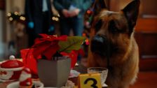 S8 E13: Heist for the Holidays