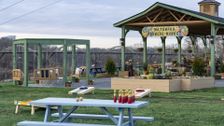 S1 E6: Blooming on the Coosa