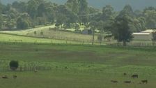 S1 E3: Wine Lovers' Guide to Australia