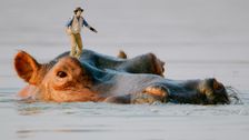 S1 E3: Andy and the Hippos