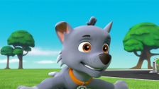 S5 E20: Ultimate Rescue: Pups Save a Swamp Creature; Ultimate Rescue: Pups and the Hidden Golden Bones