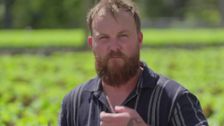 S6 E33: Farm To Fork