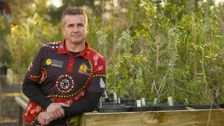 S2 E11: Robert Riley - Wiradjuri Man & Owner, ICaN Nursery