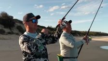 S19 E23: IFISH