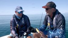 S12 E11: Mark Berg's Fishing Addiction