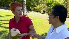 S3 E3: Coconuts