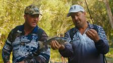 S4 E2: Step Outside with Paul Burt