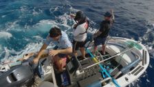 S27 E23: Escape Fishing with ET