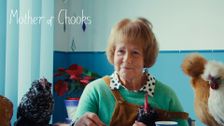 Mother of Chooks