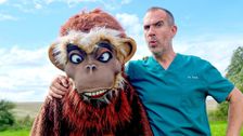 S12 E9: Man v Monkey