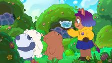 S1 E36: Bubble Fields