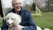 S10 E9: Paul O'Grady: For the Love of Dogs