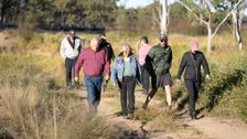 S1 E1: The Sensible Creek Killings