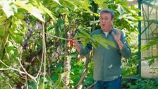 S41 E2: The Garden Gurus