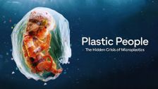 Plastic People: The Hidden Crisis of Microplastics