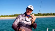 S4 E33: Step Outside with Paul Burt