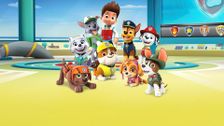 Pups Save a Friend; Pups Save a Stowaway; Pups' Adventures in Babysitting