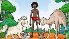 S6 E5: Boya's Gone Wild