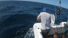 S1 E3: Black Marlin