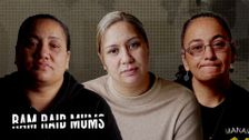 Ram Raid Mums