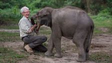 S1 E2: Paul O'Grady: For the Love of Animals - India