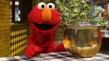 S54 E32: Elmo and Abby's Ocean Adventure