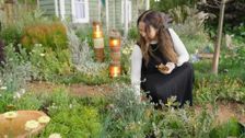 S40 E7: The Garden Gurus