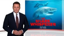 S41 E36: The Shark Whisperer, Fight of His Life
