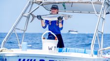 S1 E9: Cape Carnage: Killer Catch
